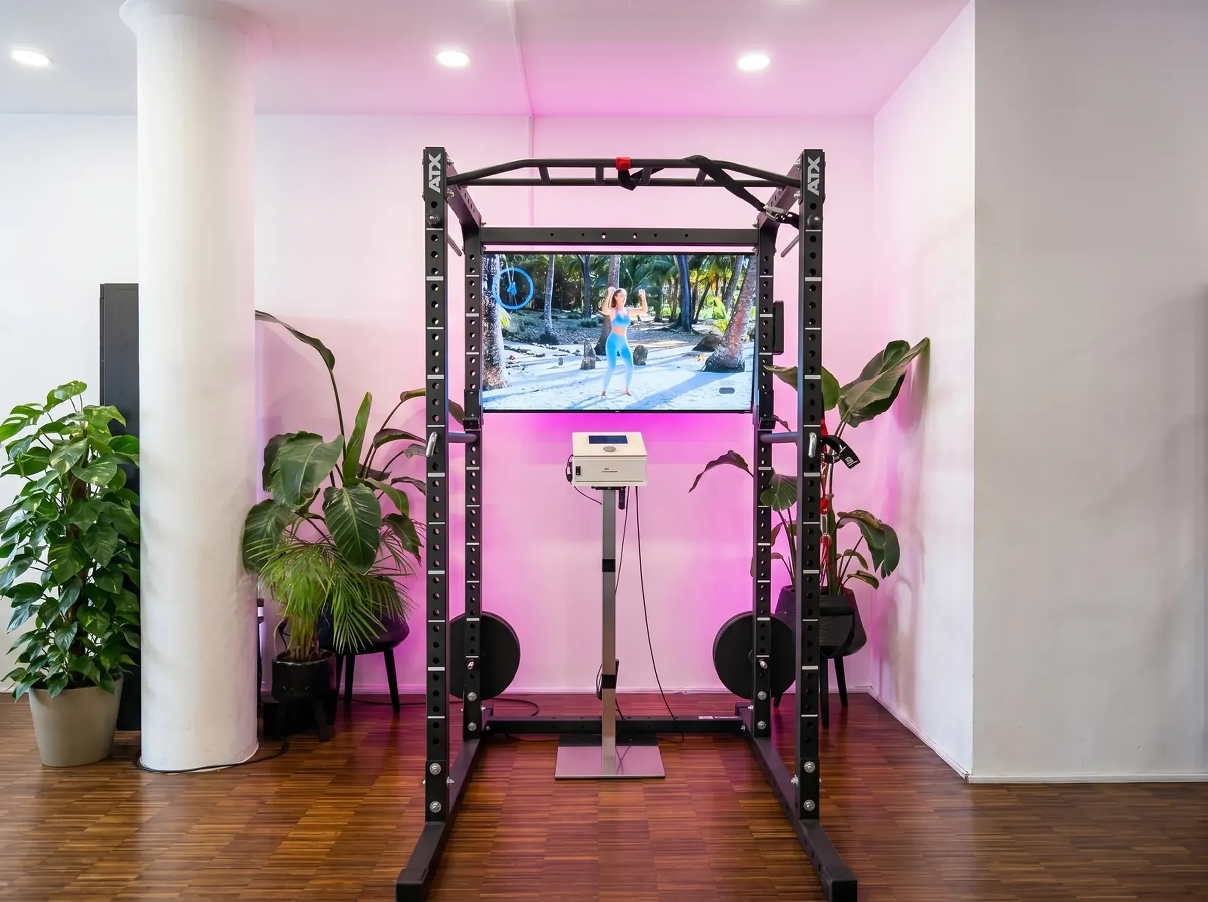 Rack- und Cardio-Bereich im PANDACTIVE Studio